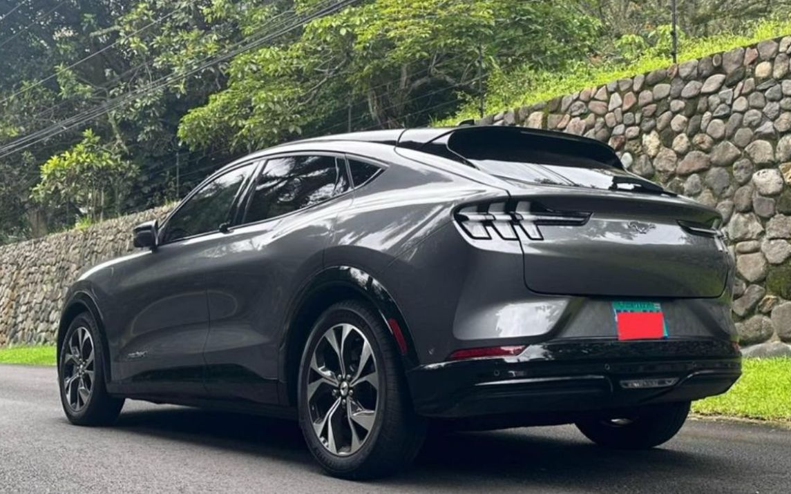 Ford Mustang Mach-E 2021 Ford Mustang Mach-E 2021