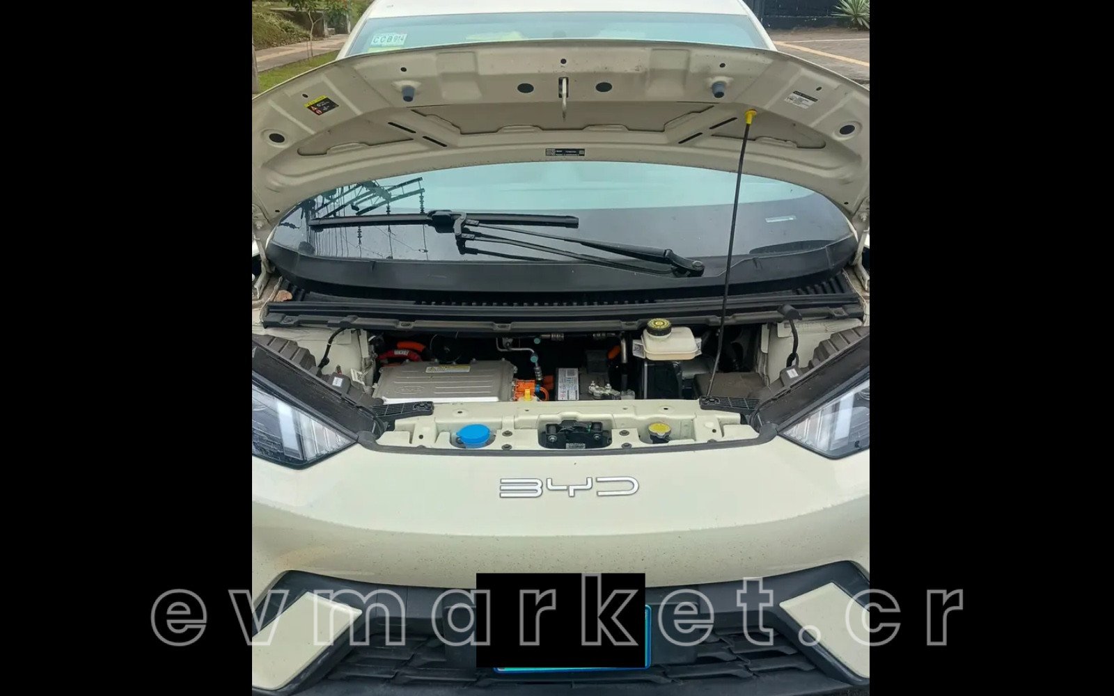 evmarket