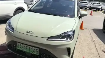 Neta Aya / V 2024