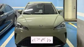 Neta Aya / V 2024