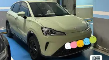 Neta Aya / V 2024