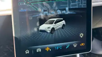Neta Aya / V 2024